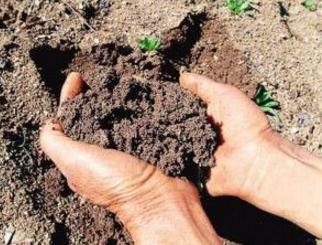 陝西地區已經了解土壤汙染底數強化源頭汙染