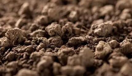 肥料養(yang) 分檢測儀(yi) 肥料養(yang) 分檢測儀(yi)