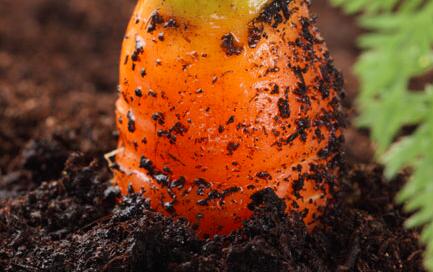 土壤養(yang) 分分析儀(yi) 器 土壤養(yang) 分分析儀(yi) 器