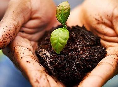 測土配方儀(yi) 測土配方儀(yi)