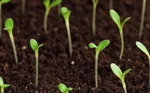 土壤測定儀(yi) 土壤測定儀(yi)