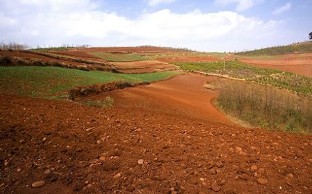 土壤墒情監測係統
