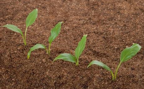 土壤水分測定儀(yi) 土壤水分測定儀(yi)