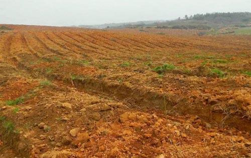 高智能土壤養(yang) 分檢測儀(yi) 