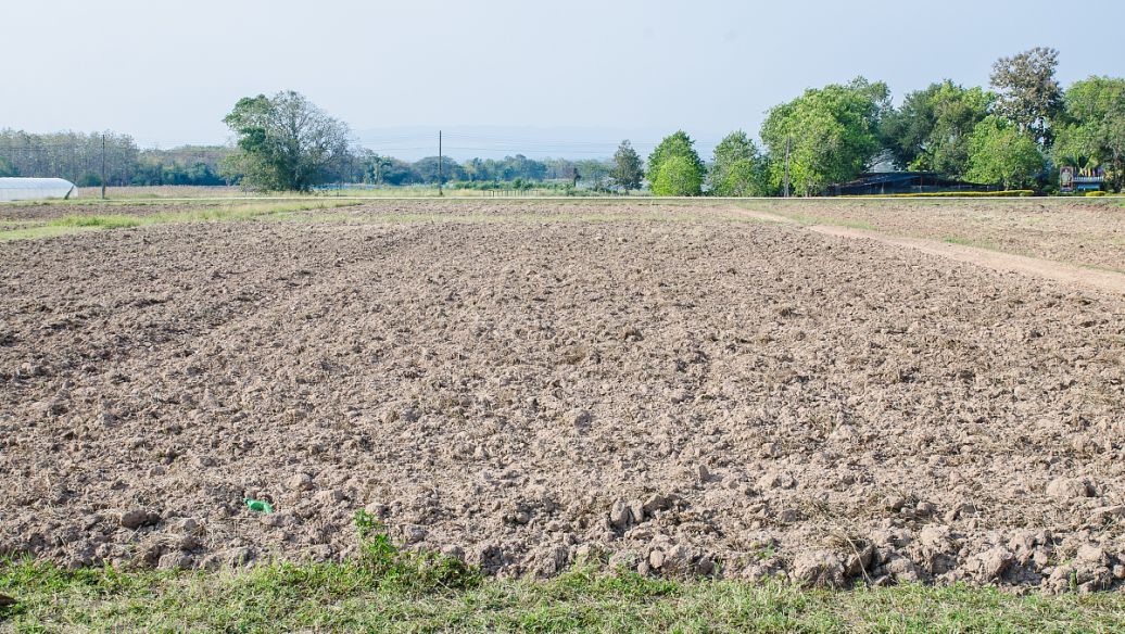 土壤肥料養(yang) 分檢測儀(yi) 