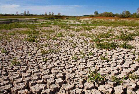 高智能土壤養(yang) 分檢測儀(yi) 