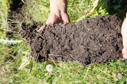 土壤養(yang) 分檢測儀(yi) 土壤養(yang) 分檢測儀(yi)