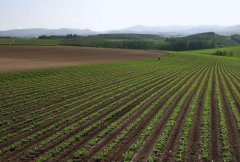 土壤肥料養分檢測儀的使用有什麽意義?