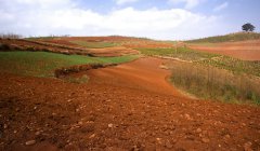 肥料養分檢測儀作用是什麽？