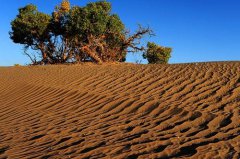 土壤養分速測儀有什麽作用？