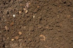 土壤肥料養分檢測儀對於我們農業種植有什麽作