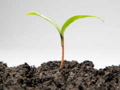 2020年天津市出台的土壤汙染防治新規定要正式施