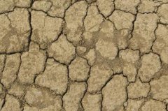 土壤水分測定儀助力農業墒情研究