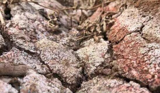 土壤墒情測定儀