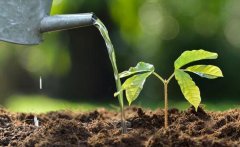 合理安排農業施水需要土壤墒情監測儀