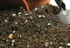 土壤成分測試儀幫助農民朋友科學施肥